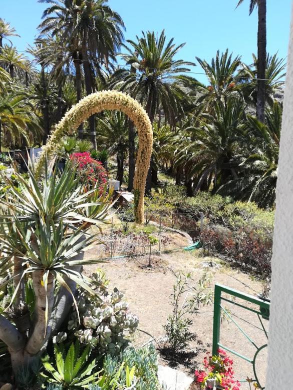 Casa Majores Vallehermoso Eksteriør billede